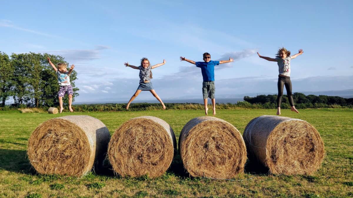 Kids jumping on hay that's been rolled and is ready for collection by the farmer